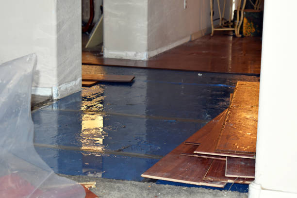 Professional Basement Flood Cleanup technician working in Prairie City, IA